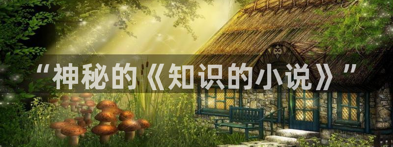 爱去小说网全集txt电子书下载：“神秘的《知识的小说》”